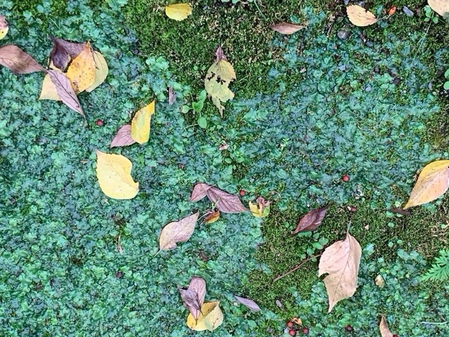 Kyoto 2023 Kyoto 2023